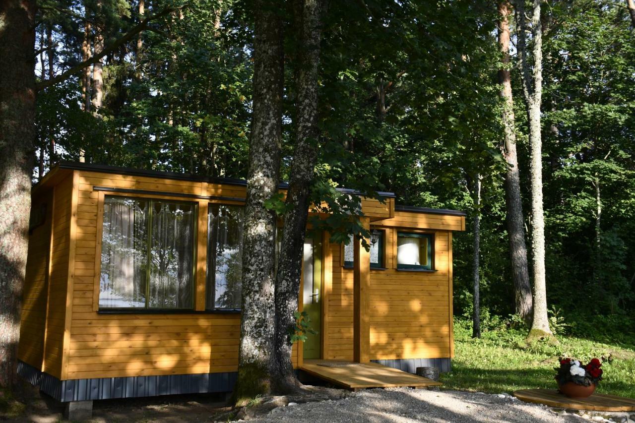 Kempings Ezerpriedes Burtnieki  Exterior foto